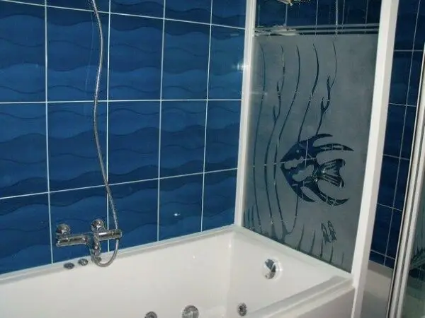 Jacuzzi bath tub with shower